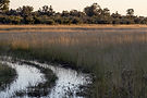 botswana-safari-okavango-delta-flut.jpg