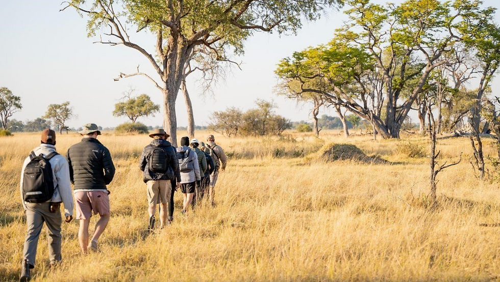 botswana-africa-photography-bush-walk-walking-safari