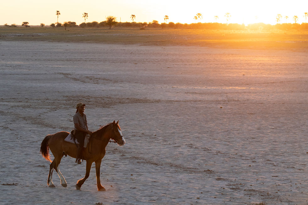 botswana-safari-makgadikgadi-reitsafari.jpg