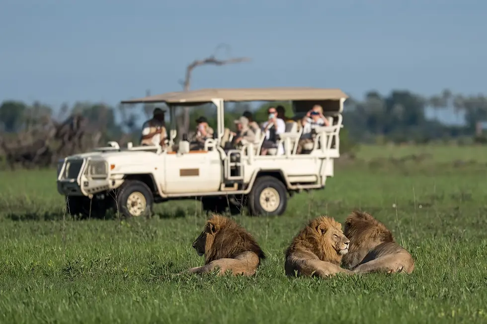 botswana-letaka-photographic-safari-charlie-summers