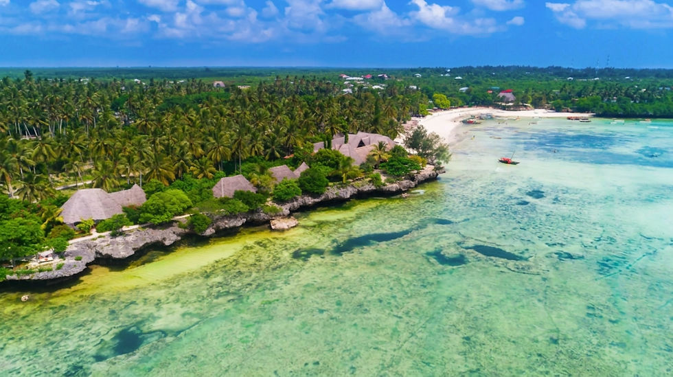 zanzibar-kizimkazi-beach-dolphin-diving.jpg