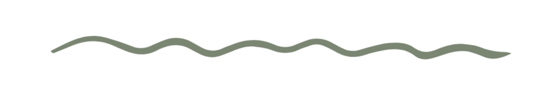 InfiniteWild Divider Wave-short-green_edited.png
