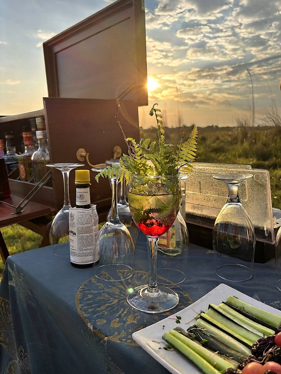 botswana-ker-and-downey-sundowner-drinks_edited