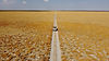 botswana-self-drive-nxai-pan-salt-baobab.JPG