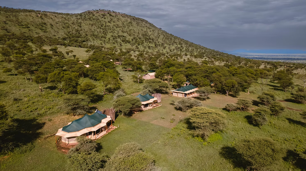tanzania-serengeti-the-singing-grass-camp-safari-luxury.png