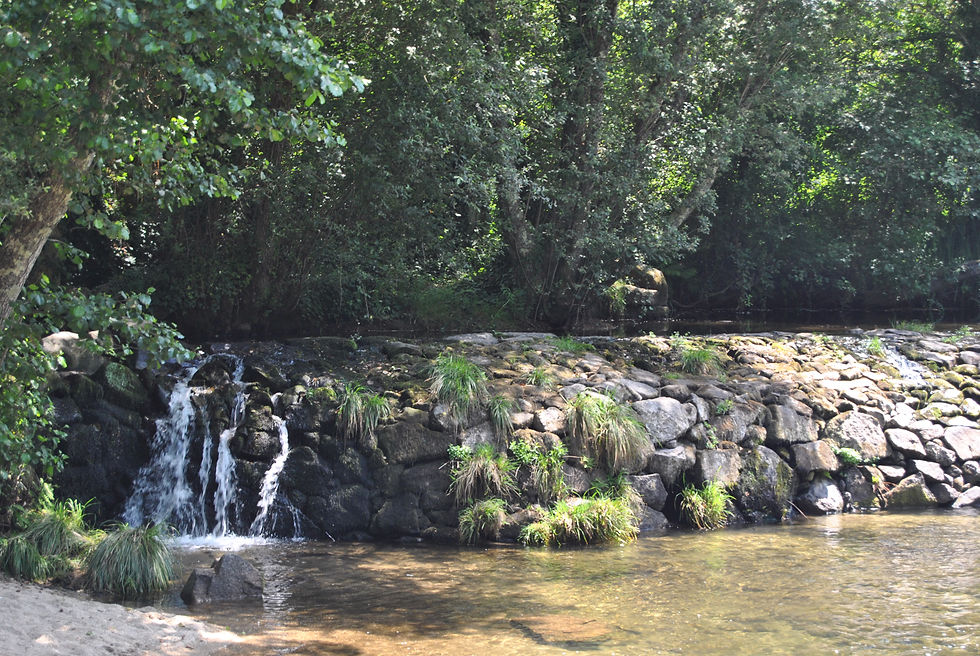 Aspecto do Açude do Rio Neiva-Grilo