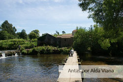 Azenha do Minante-Foto de Alda Viana.jpg