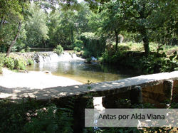 Ponte sobre Grilo-foto de Alda Viana.jpg