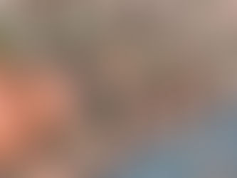 Anche se la Scuola è chiusa, obbligo le manutenzioni per mantenere in efficienza la Scuola...