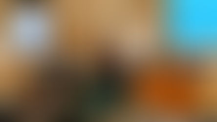 Thank You to Our 2024–2025 University Center Scholarship Sponsors