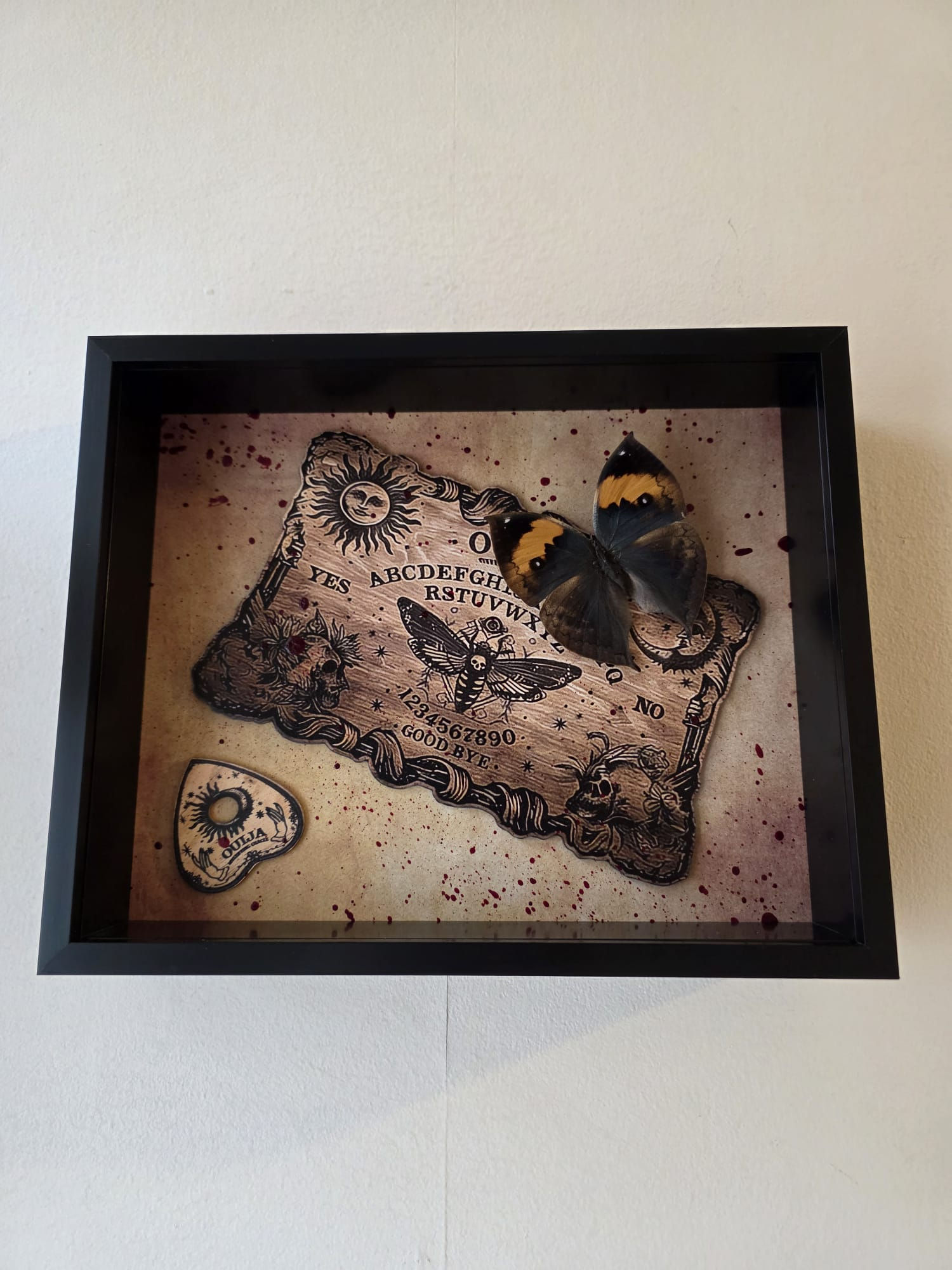Framed Kallima inachus with ouija board