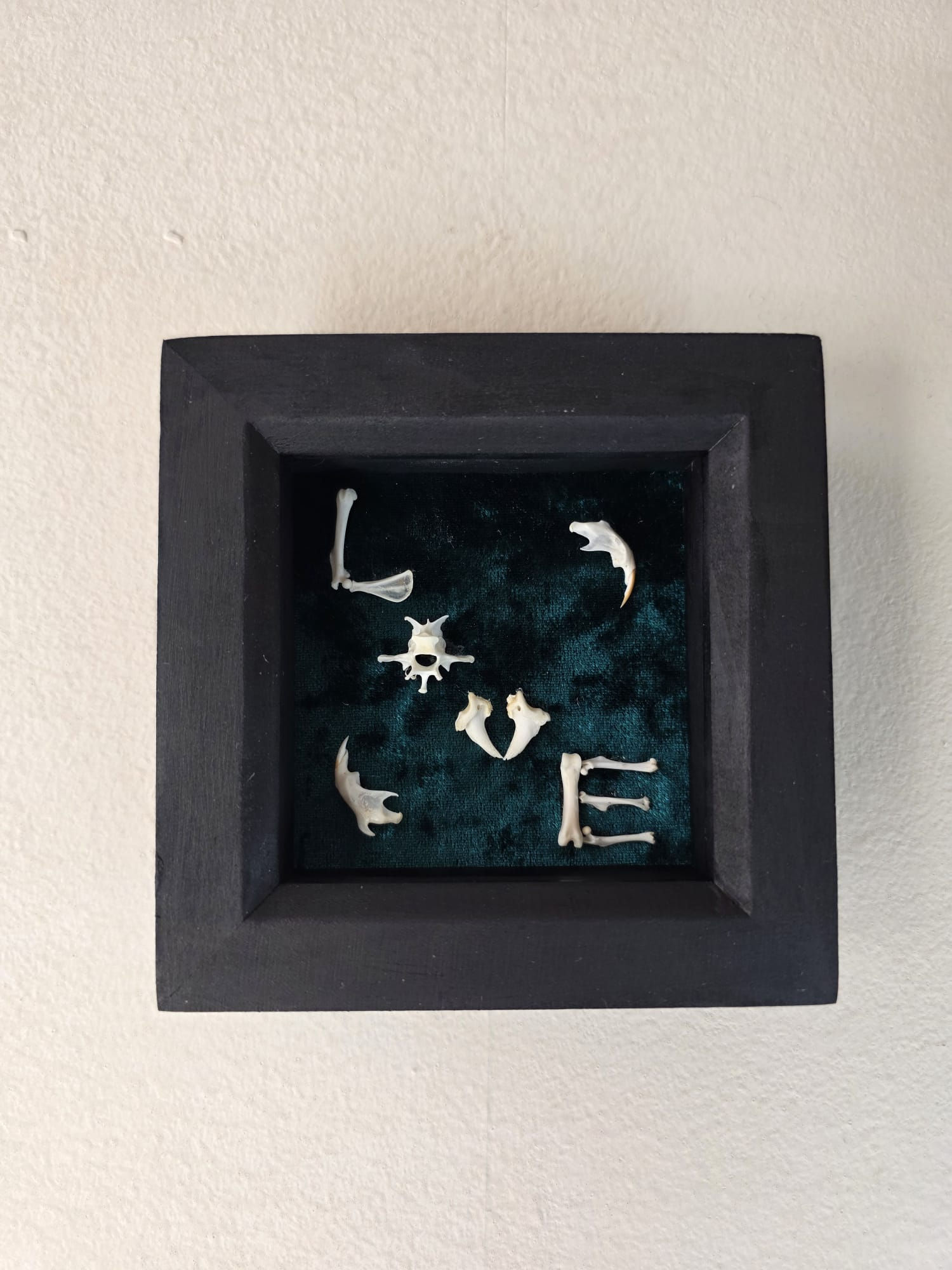 Framed Bone Love