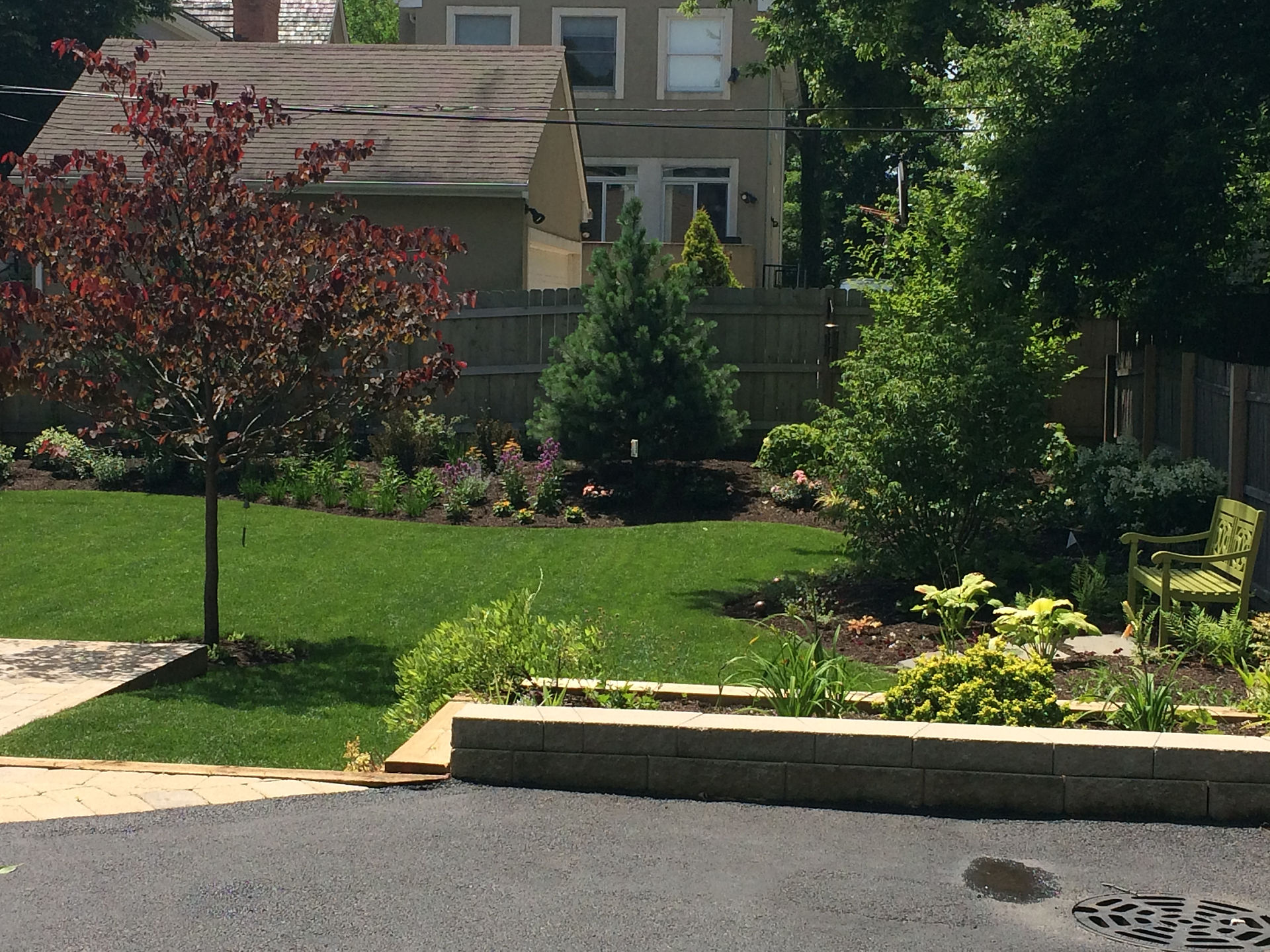 Glencoe backyard 2015