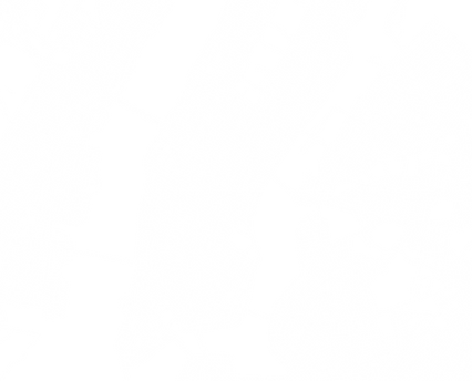 upper view new york.png