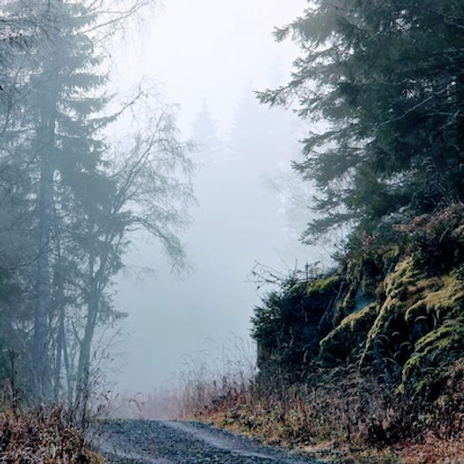 06 Utvikle en veksttankegang 