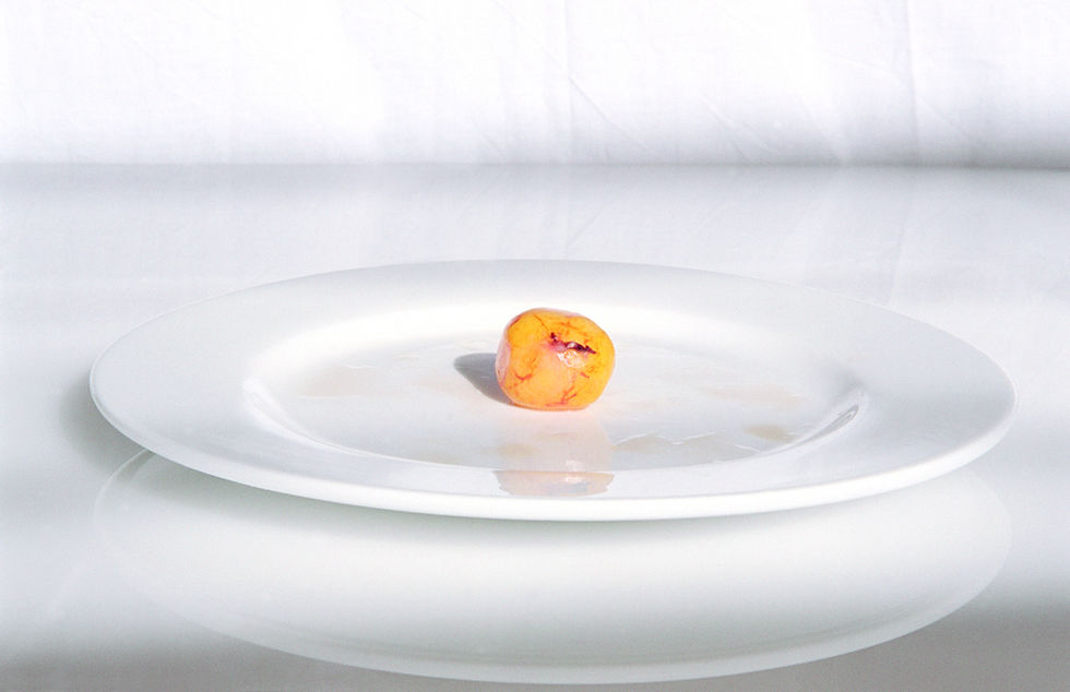 Yolk 2011, 30X40 cm, archival inkjet print