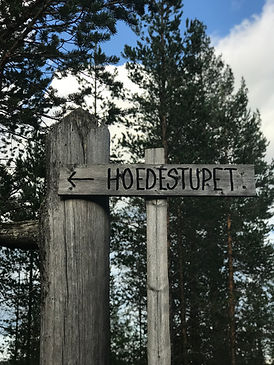 HoedeSkylt.jpeg