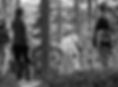 Häxvandring_foto_Fredrik_Larsson_8.jpg