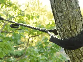 dynamic tree cabling protects weak branch unions