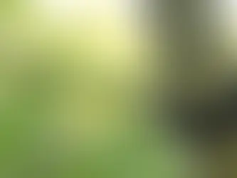 dynamic tree cabling protects weak branch unions