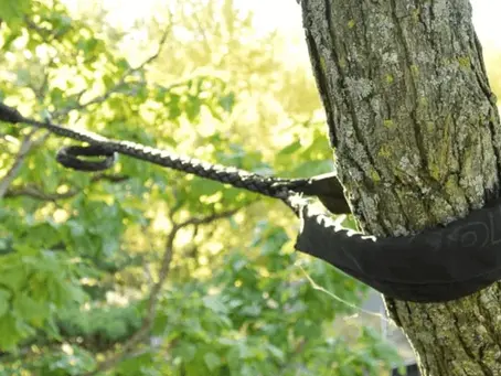 dynamic tree cabling protects weak branch unions