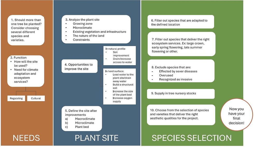Eye-level view of a mature oak tree lining a suburban street in south central Pennsylvania