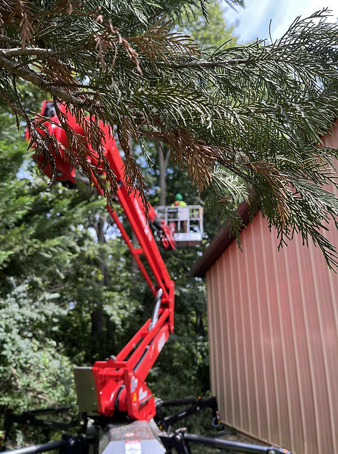 Antrim Tree Service tracked lift accessing trees where bucket trucks can't reach in Greencastle PA