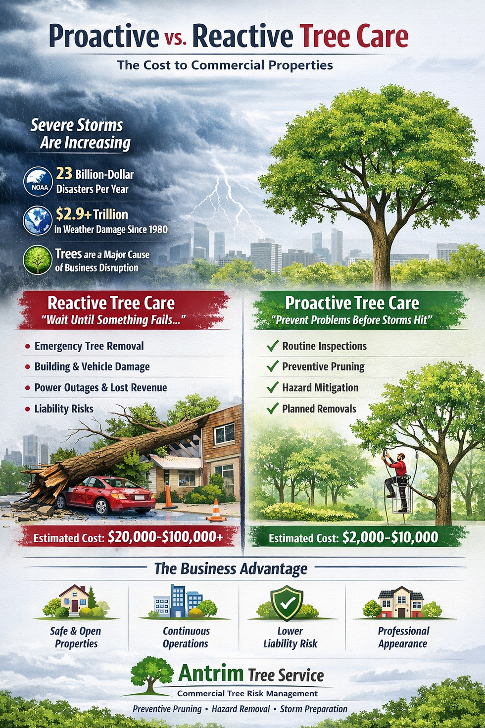 Property Management Tree Maintenance Strategies that Minimize Liability and Maximize ROI
