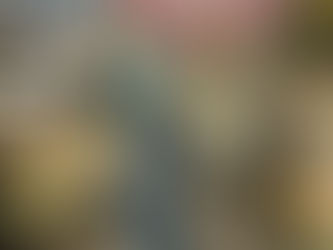 Dangerous Tree Near Your House? What Greencastle, PA Homeowners Need to Know