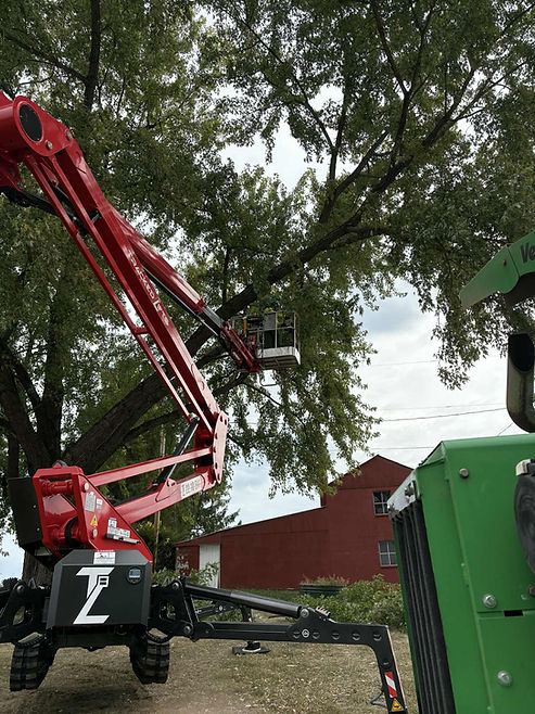 Antrim Tree Service tracked lift being used for professional tree pruning