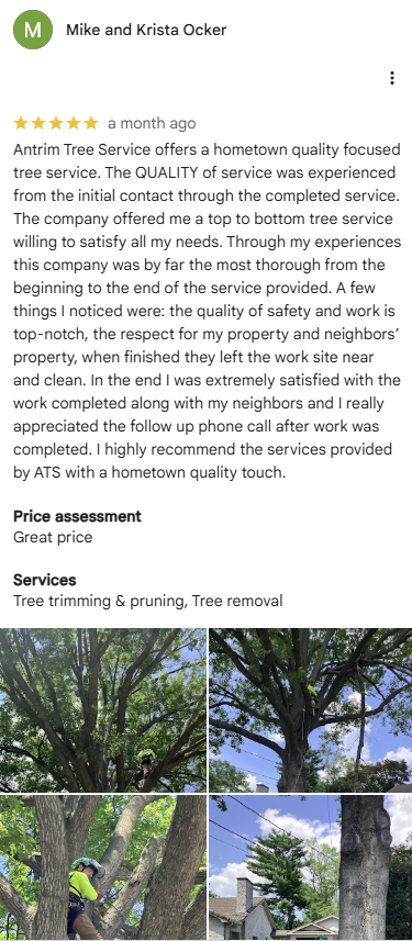 5-star Google review from Mike and Krista Ocker of Chambersburg