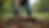Eye-level view of a person using a shovel to dig around a tree stump