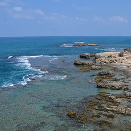 יום כיף בחוף דור
יום גיבוש בחוף דור
יום כיף בים
יום גיבוש בים
יום כיף לעובדים
יום גיבוש לעובדים
