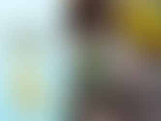 ricetta boccioli di tarassaco sotto sale