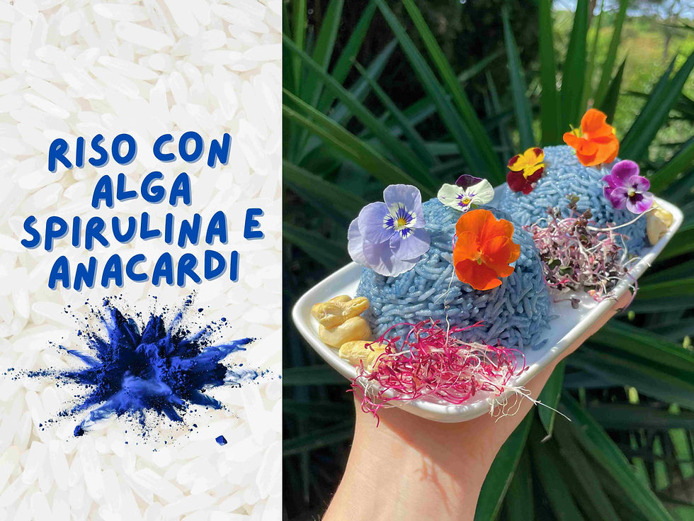 Risotto con Alga Spirulina e Anacardi