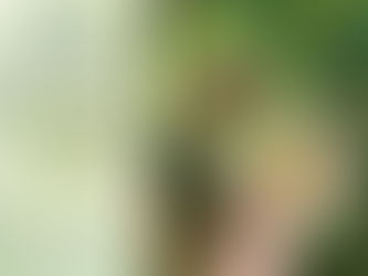 crocchette vegane di verza fatte in casa