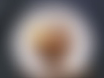 Sesame Crusted Mackerel    