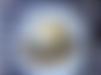 Celeriac and Apple Remoulade 