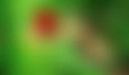 ЛИДИЯ ФОГЕЛЬ
Я женщина, чья суть непостижима