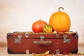 Traveling This Holiday Season? Don't Forget Your Dosha!