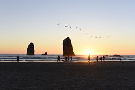 D76DC436-0A0F-4B4E-99D1-B64BCF21B255.jpeg