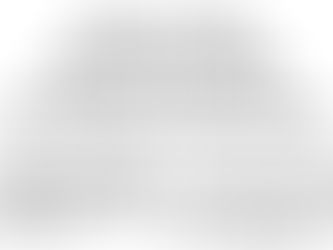 Lindauer Zeitung - Artikel Nominierungsversammlung