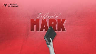 Mark.png