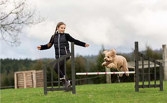 Child and her dog doing agility over jumps at Pupstars training class Katikati NZ