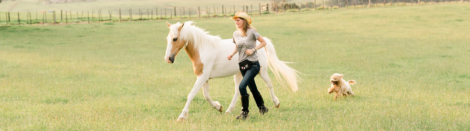 Bex and horse at liberty