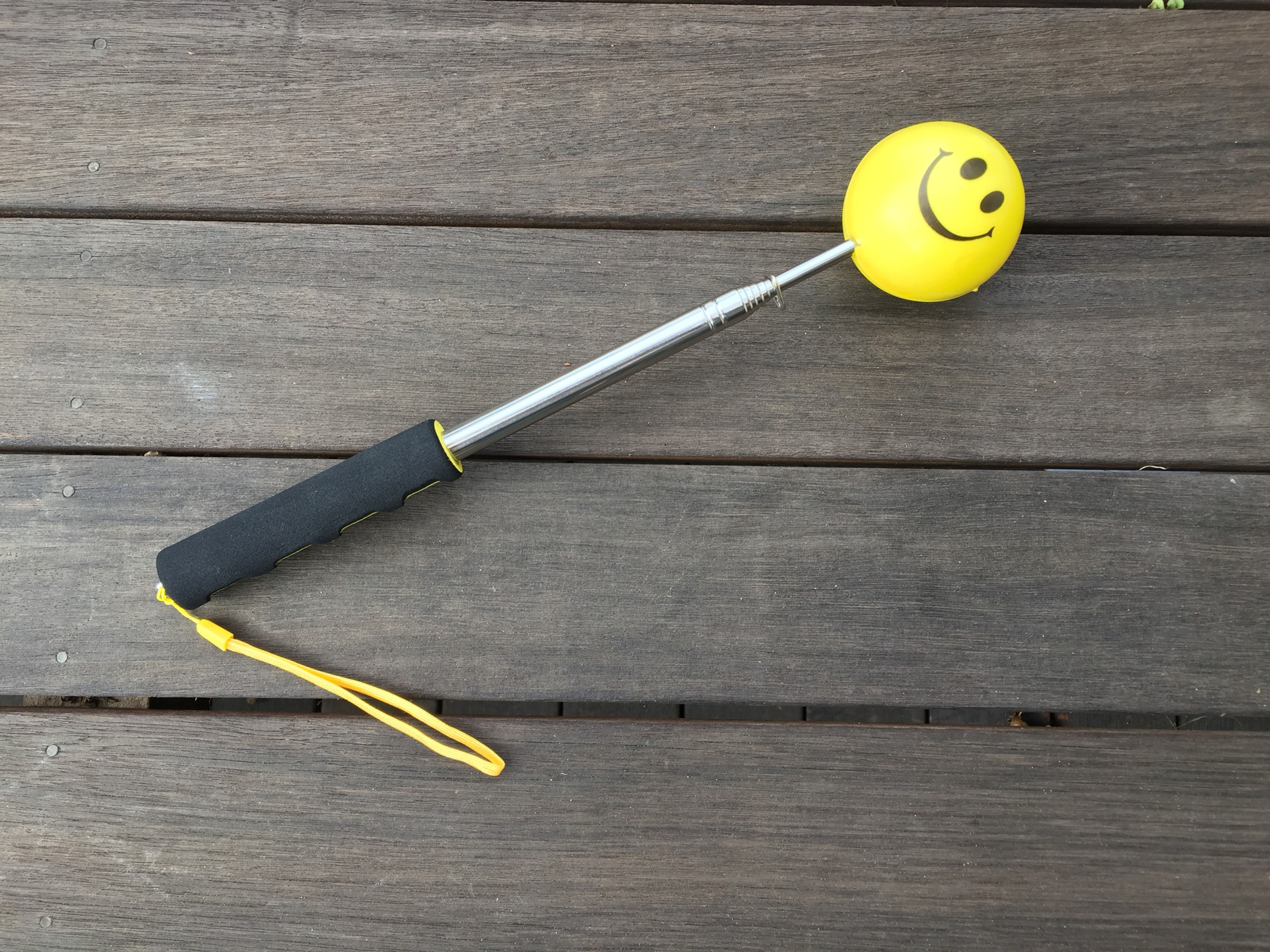 Extendable target stick