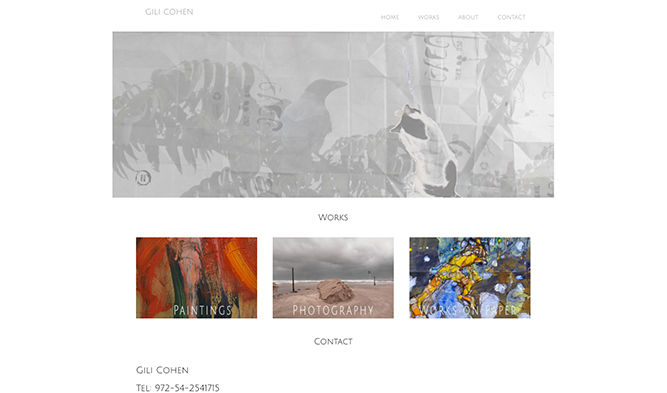 Gili Cohen Website