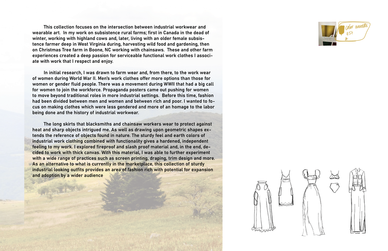 Collection developement3.png