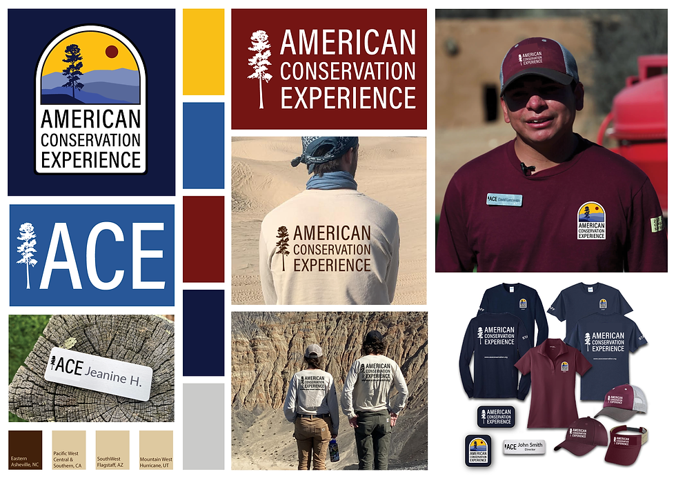 Final Suite New Logo-05.png