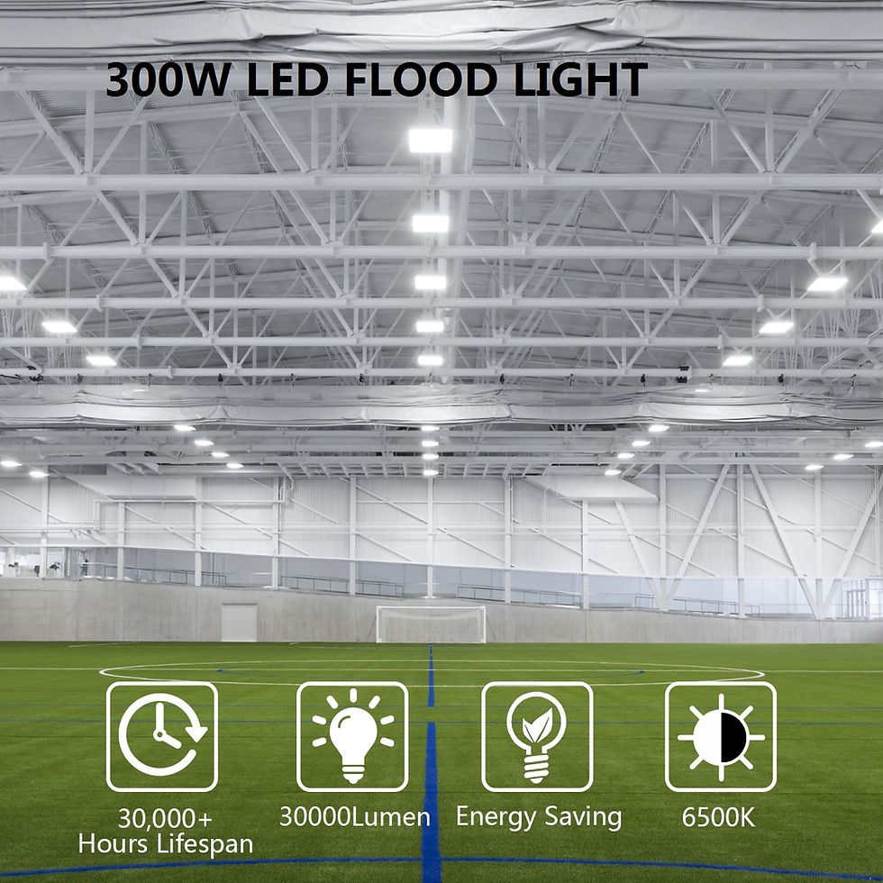 縮圖：100W LED Outdoor Flood Light IP65 Waterproof 6500K 10000LM Super Bright